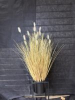 עשב זחל סתווי גדול מס' 2 65 ס"מ (19 ראשים)