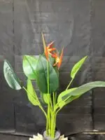 עציץ קטן ציפור גן עדן עם פרח