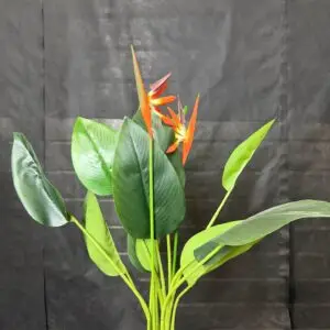 עציץ קטן ציפור גן עדן עם פרח