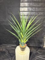 עציץ פנדנוס 80 ס"מ