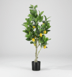 עץ לימון - 90cm