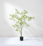 עציץ אדר ירוק מיני צפוף - 120cm