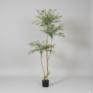 ננדינה מדורגת