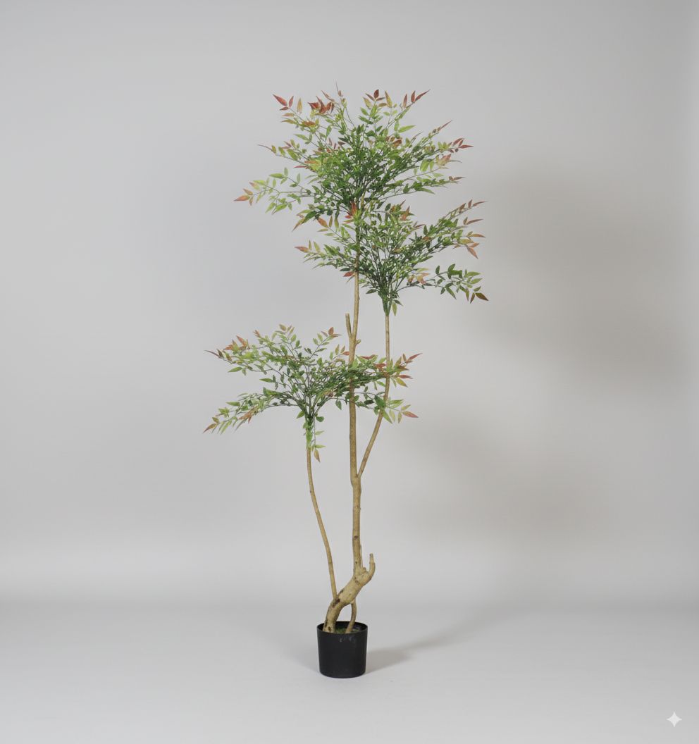 ננדינה מדורגת