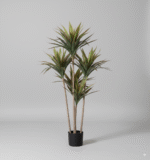 עץ ברזילאי אדום - 120cm