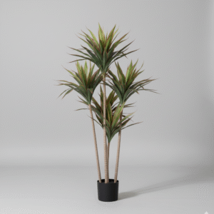 עץ ברזילאי אדום