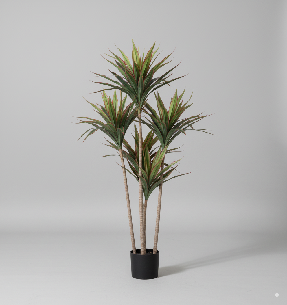 עץ ברזילאי אדום