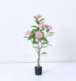 עץ הורטנזיה ורודה - 90cm