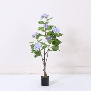 עץ הורטנזיה