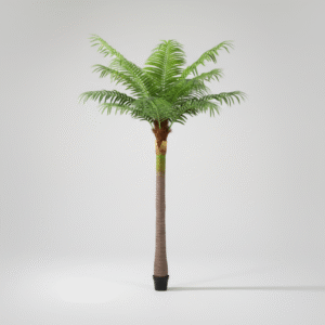 דקל מניפה עגול גזע מפוח