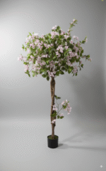 בוגנוויליה משולשת עגולה