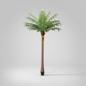 עץ דקל קטן גזע מפוח