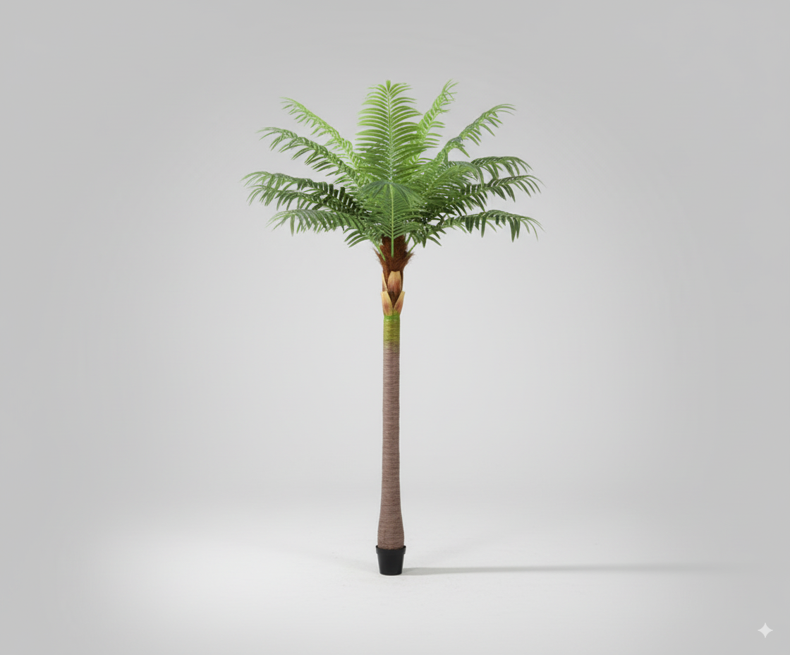 עץ דקל קטן גזע מפוח