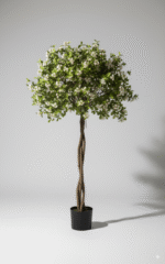 פרח אי אביבי