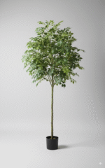 עץ עלה אושר