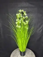 עציץ סייפן לבן 7 ראשים 120 ס''מ