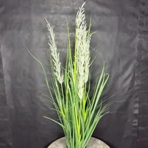 עשבוני זנב שועל לבן סרוג דק גבוה 90 ס"מ 