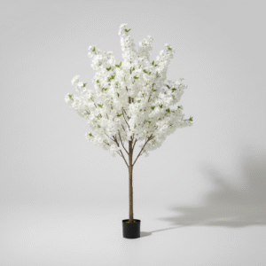 עץ דובדבן לבן