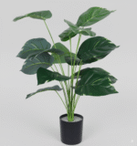 עציץ דיפנבכיה 70 ס"מ