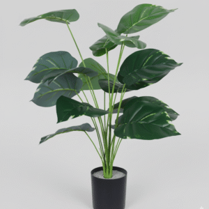 עציץ דיפנבכיה 70 ס"מ