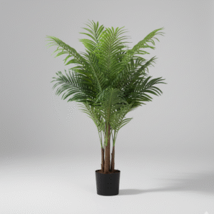 עציץ שרך זנב חתול