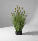 עשב זחל גדול מס' 4 ראש ירוק סתווי 65 ס"מ (19 ראשים)