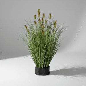 עשב זחל גדול מס' 4 ראש ירוק סתווי 65 ס"מ (19 ראשים)