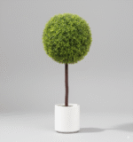 כדור עשיר מטר סתווי