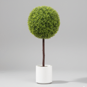 כדור עשיר מטר סתווי