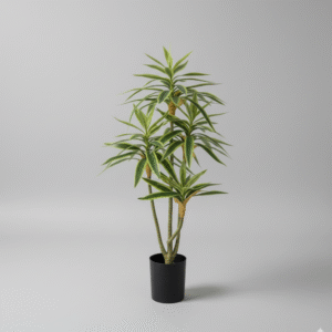 עציץ במבוק לבן גזע יחיד שלושה ראשים 70 ס"מ (פסים לבנים)