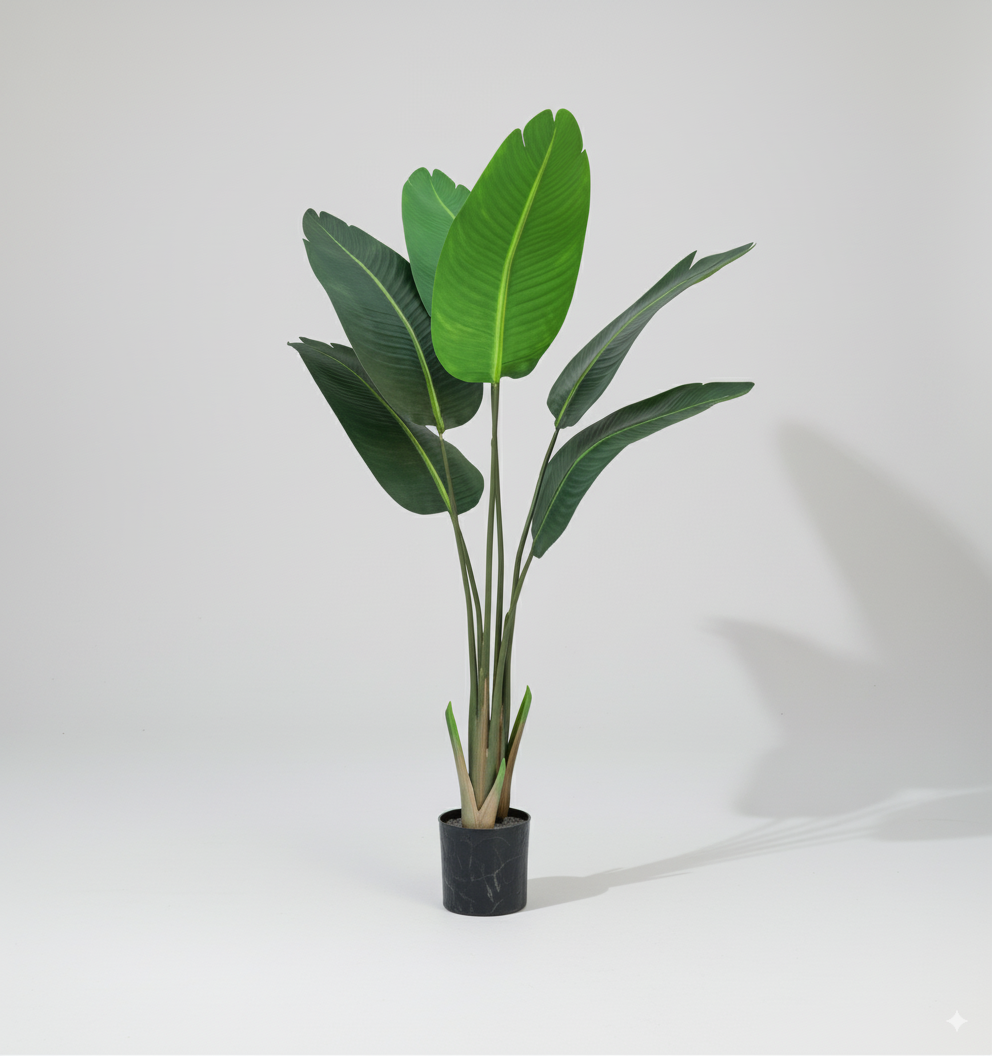 ציפור גן עדן C 120 ס"מ