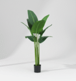 ציפור גן עדן דגם 90 ס"מ