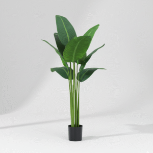 ציפור גן עדן דגם 90 ס"מ