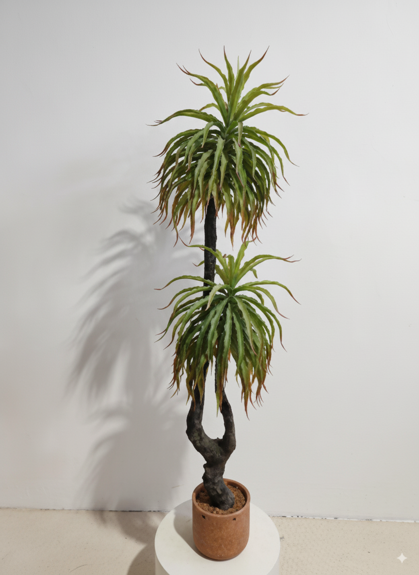 פינוי אגבה דרקו 2 ראשים