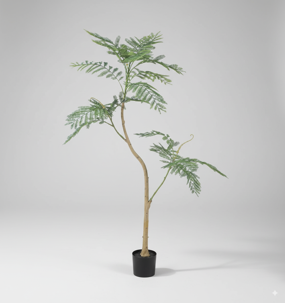 ג'קרנדה כחולה