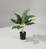 עלה כרוב (עם בסיס שחור) 55 ס"מ