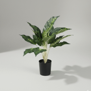 עלה כרוב (עם בסיס שחור) 55 ס"מ