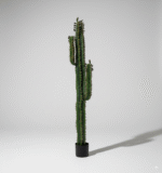 עמוד קקטוס 140 ס"מ