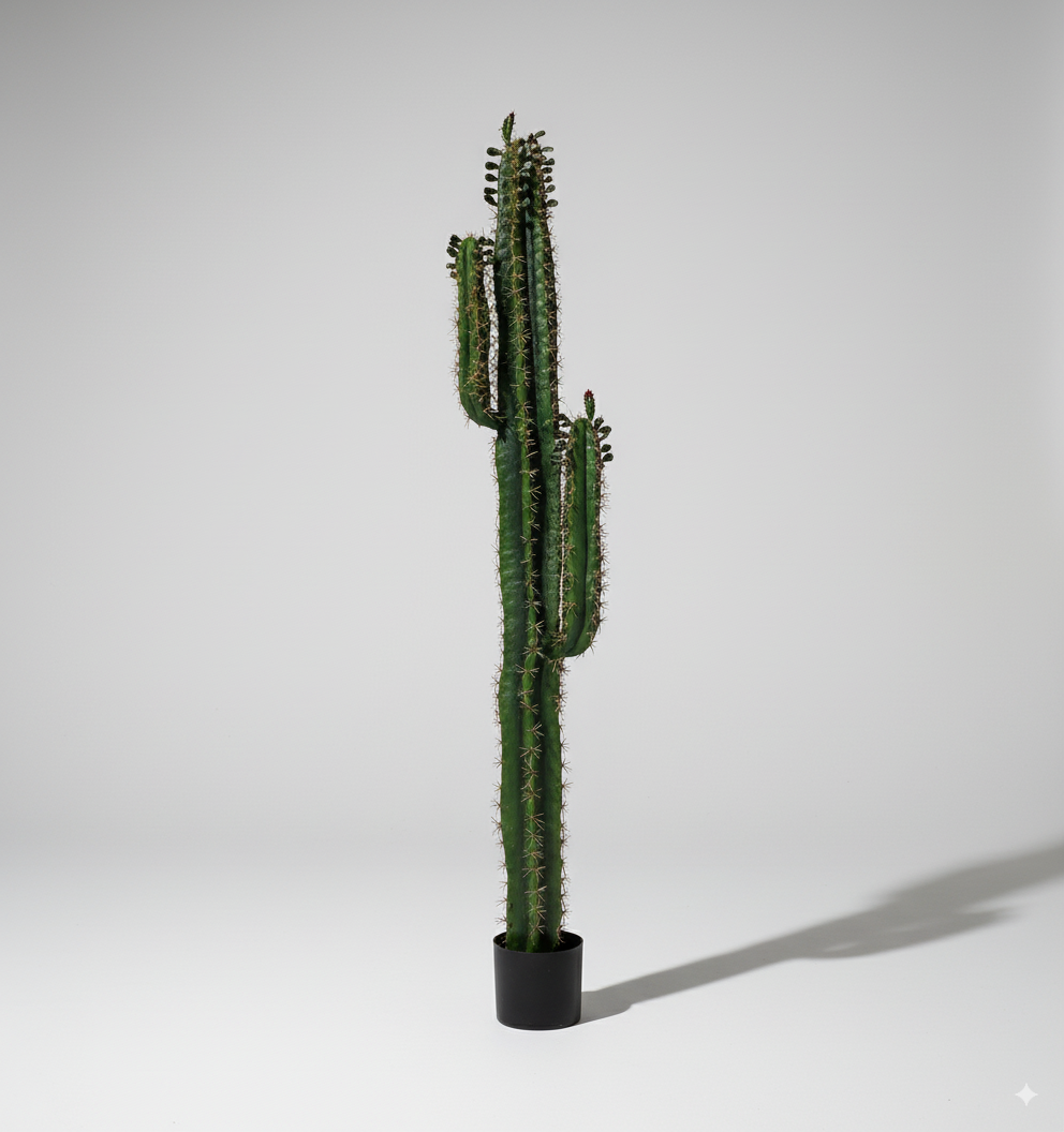 עמוד קקטוס 140 ס"מ