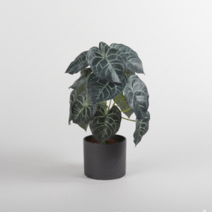 עלה אנתוריום ירוק כהה 13 ראשים 35 ס"מ