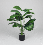 עציץ עשב נמר כהה 70 ס"מ