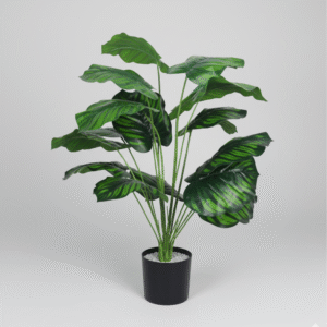 עציץ עשב נמר כהה 70 ס"מ