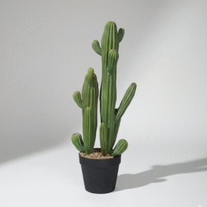 עמוד קקטוס זוגי קטן