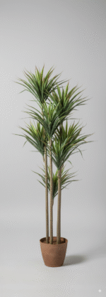 עץ זקן זיפי 2 ראשים 150 ס"מ