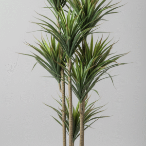 עץ זקן זיפי 2 ראשים 150 ס"מ