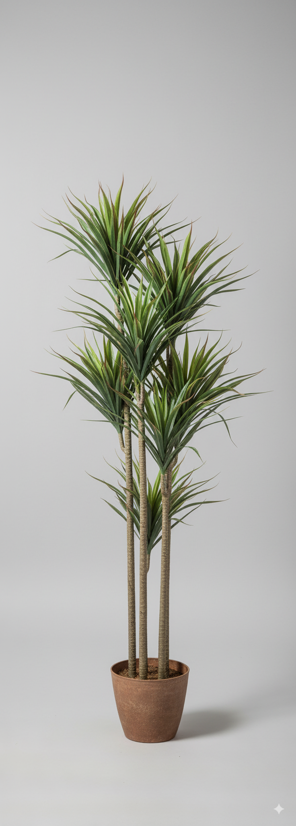 עץ זקן זיפי 2 ראשים 150 ס"מ