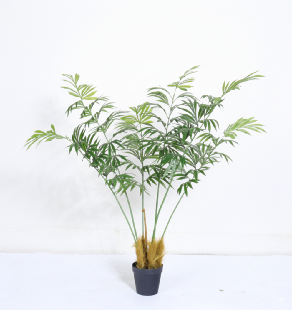 סייקד דרום אפריקאי