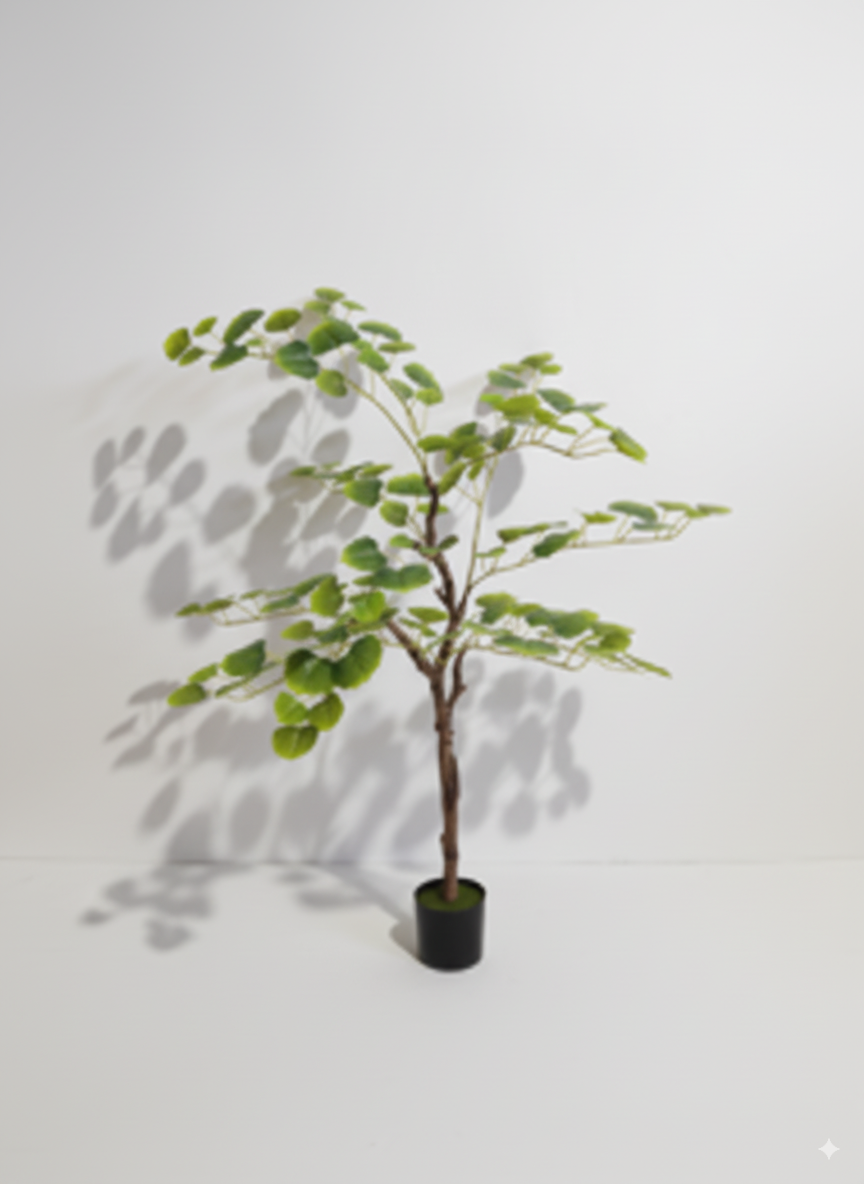 עלה עץ צפצפה