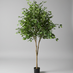 עץ פיקוס מלאכותי