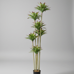 אגבה 5 ראשים